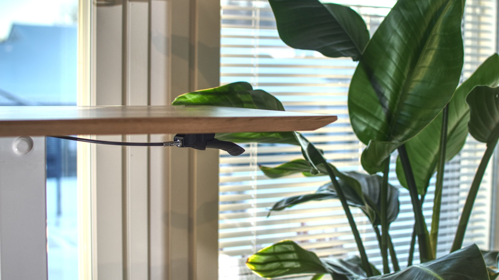 Remote work ergonomics for Accountors employees using SELKA4Business