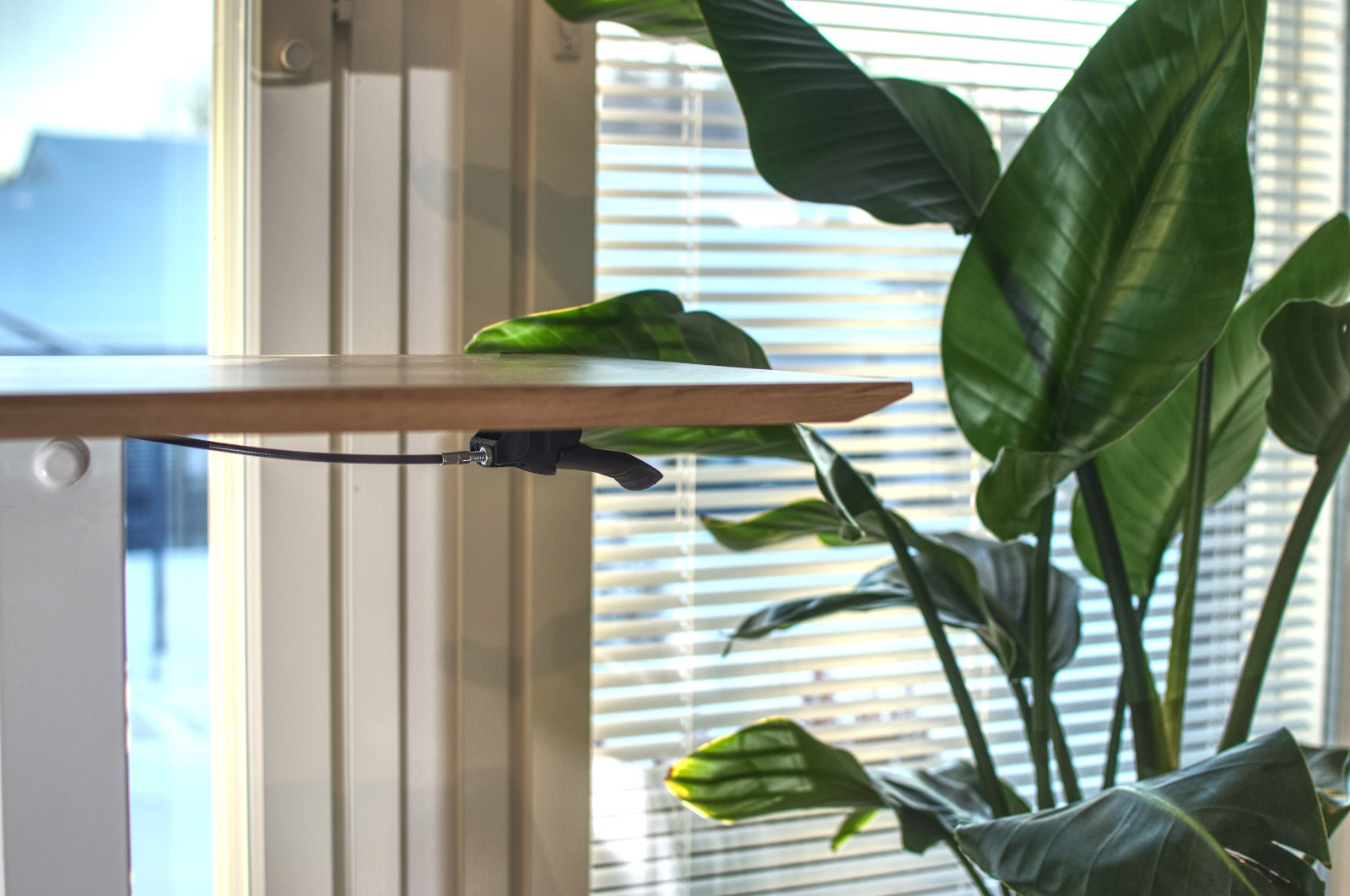 Remote work ergonomics for Accountors employees using SELKA4Business