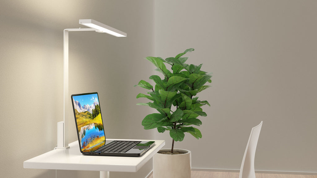 Aicci DL1 620C desk lamps, mount on the edge of the desk, taking up very little space on the tabletop and move with the height-adjustable and movable desk, providing an optimal, ergonomically comfortable and adjustable wide-angle lighting for work, preventing eye fatigue and irritation. 